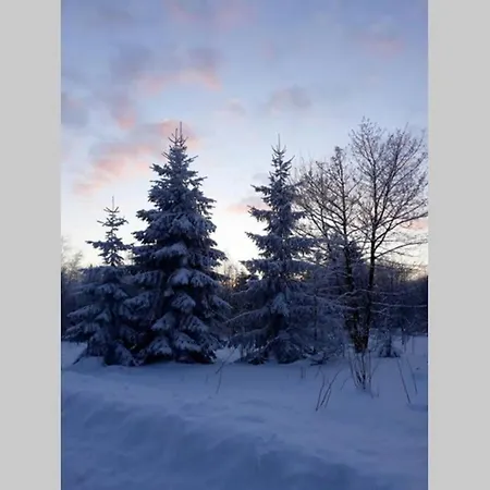 Tannenblick Hahnenklee Im Harz * Goslar