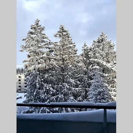 Tannenblick Hahnenklee Im Harz *