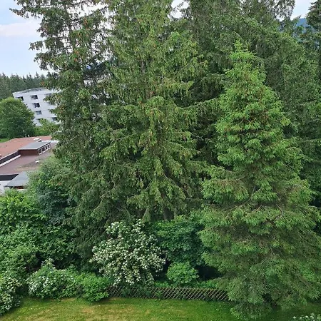 Tannenblick Hahnenklee Im Harz Goslar