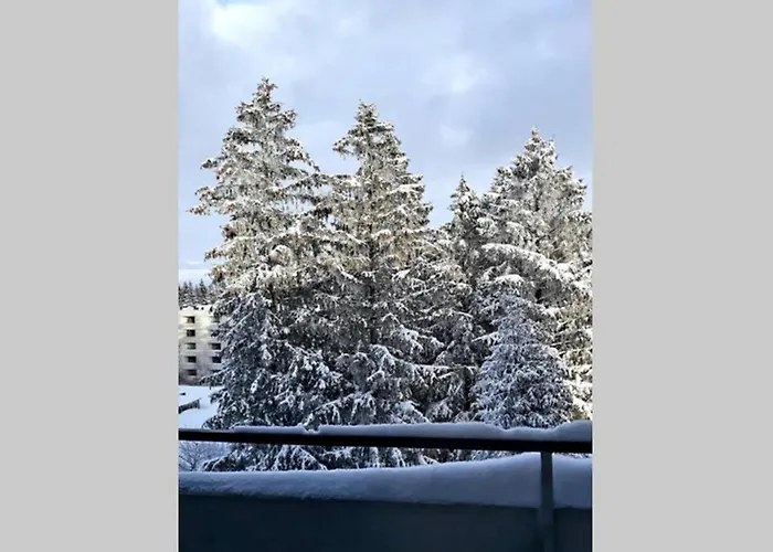 Tannenblick Hahnenklee Im Harz *