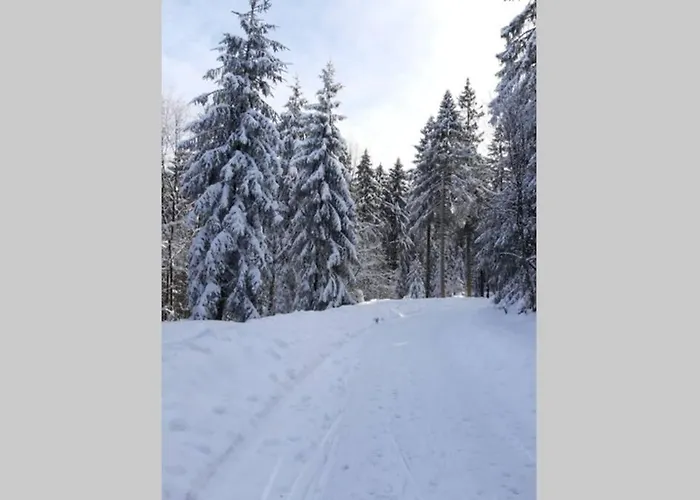 Tannenblick Hahnenklee Im Harz