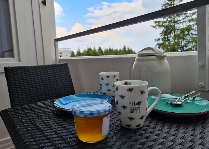 Tannenblick Hahnenklee Im Harz アパート ゴスラー